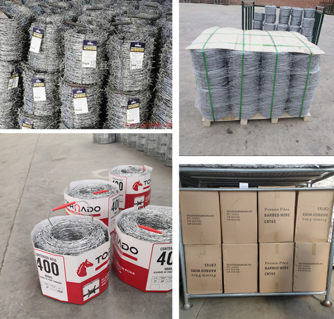 कम कीमत कॉन्सर्टिना गर्म डुबोया जस्ती रेजर कांटेदार तार 3