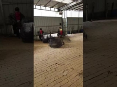 काले एनेल रूट बॉल तार बास्केट के लिए पेड़ या पौधे रूट बॉल परिवहन