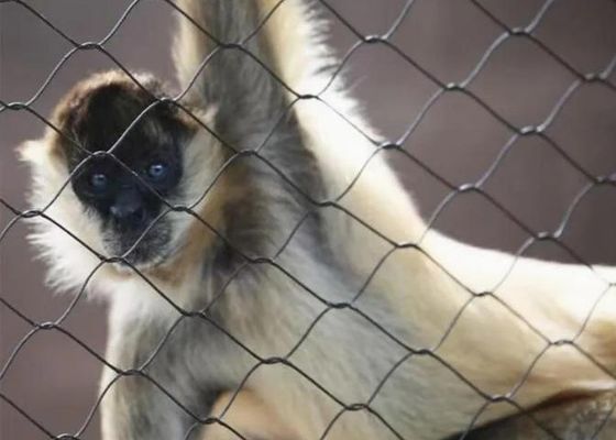 एसएस 304 एसएस 316 स्टेनलेस स्टील वायर रोप मेश बिक्री के लिए स्टेनलेस स्टील फेरूल रोप मेश