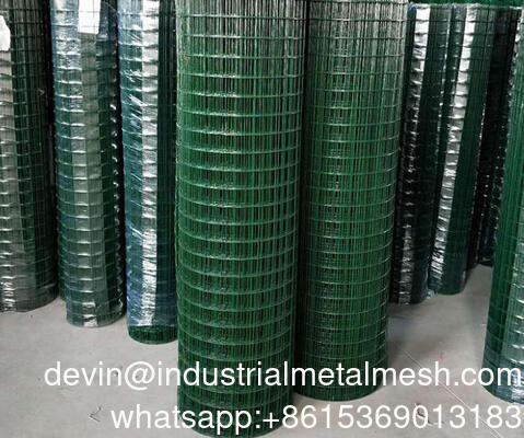 Hot Dipping Galvanized Welded Wire Mesh with Factory Price