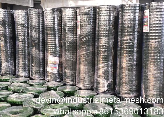 गर्म डुबकी Glavanized/ स्टेनलेस स्टील/ काले तार वेल्डेड तार जाल