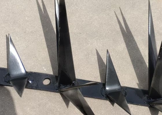 1 मीटर लम्बाई बड़े आकार का काला रंग का विरोधी चढ़ाई दीवार की चोटी सुरक्षा के लिए