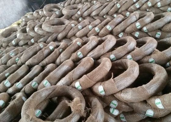 जस्ती इस्पात इलेक्ट्रो जस्ती तार आयरन बाध्यकारी जस्ती तार BWG12