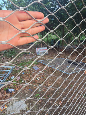 कस्टम फेरूल टाइप इनॉक्स 316 वायर रोप नेट फ्लेक्सिबल स्टेनलेस स्टील केबल वेबनेट एक्स टेंड मेश