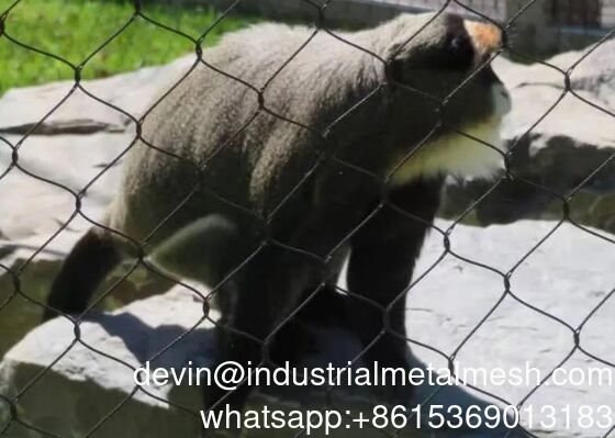 गर्म बिक्री लचीला स्टेनलेस स्टील रस्सी जाल तार रस्सी जाल