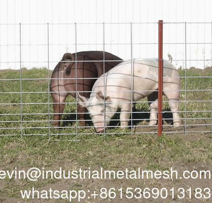 जस्ती 6 मिमी उद्यान बाड़ वेल्डेड तार जाल शीट