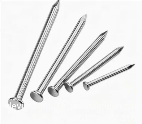 Flat Head Polished Building Material Steel Iron Wire Wood Common Nails