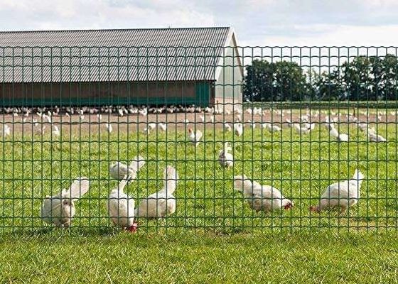 कंक्रीट स्लैब के लिए 6 मिमी वेल्डेड स्टील रीइन्फोर्सिंग वायर मेष