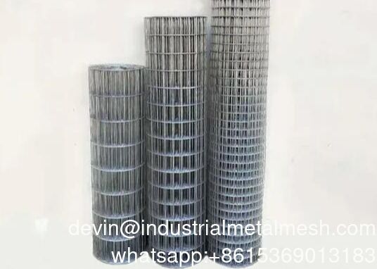 वर्ग बुना लोहे के तार जाल जस्ती स्टील के तार कपड़े जाल पोल्ट्री नेट वेल्डेड तार जाल