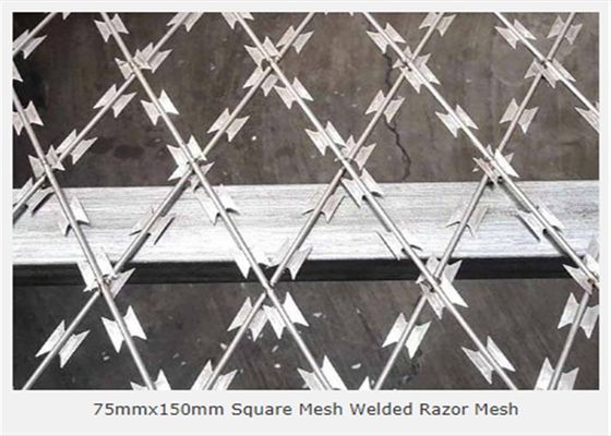 सिल्वर जस्ती वेल्डेड 3.2 मिमी रेजर वायर मेष 75x150 मिमी उद्घाटन